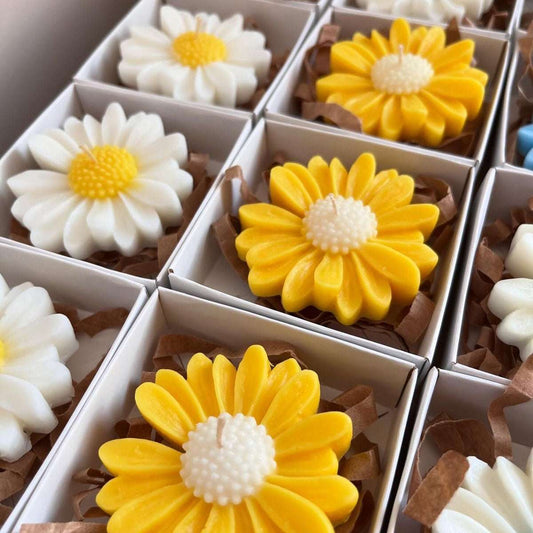Dear Daisy Scented Candles