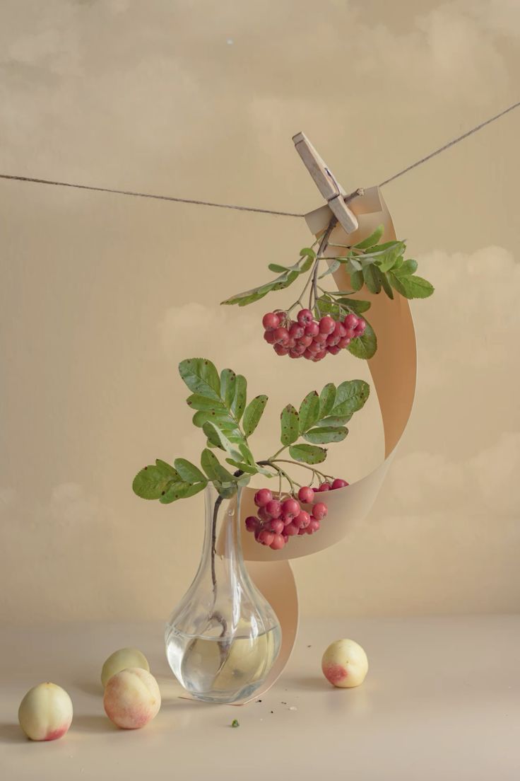 Saskatoon  Berry -Candle Jar