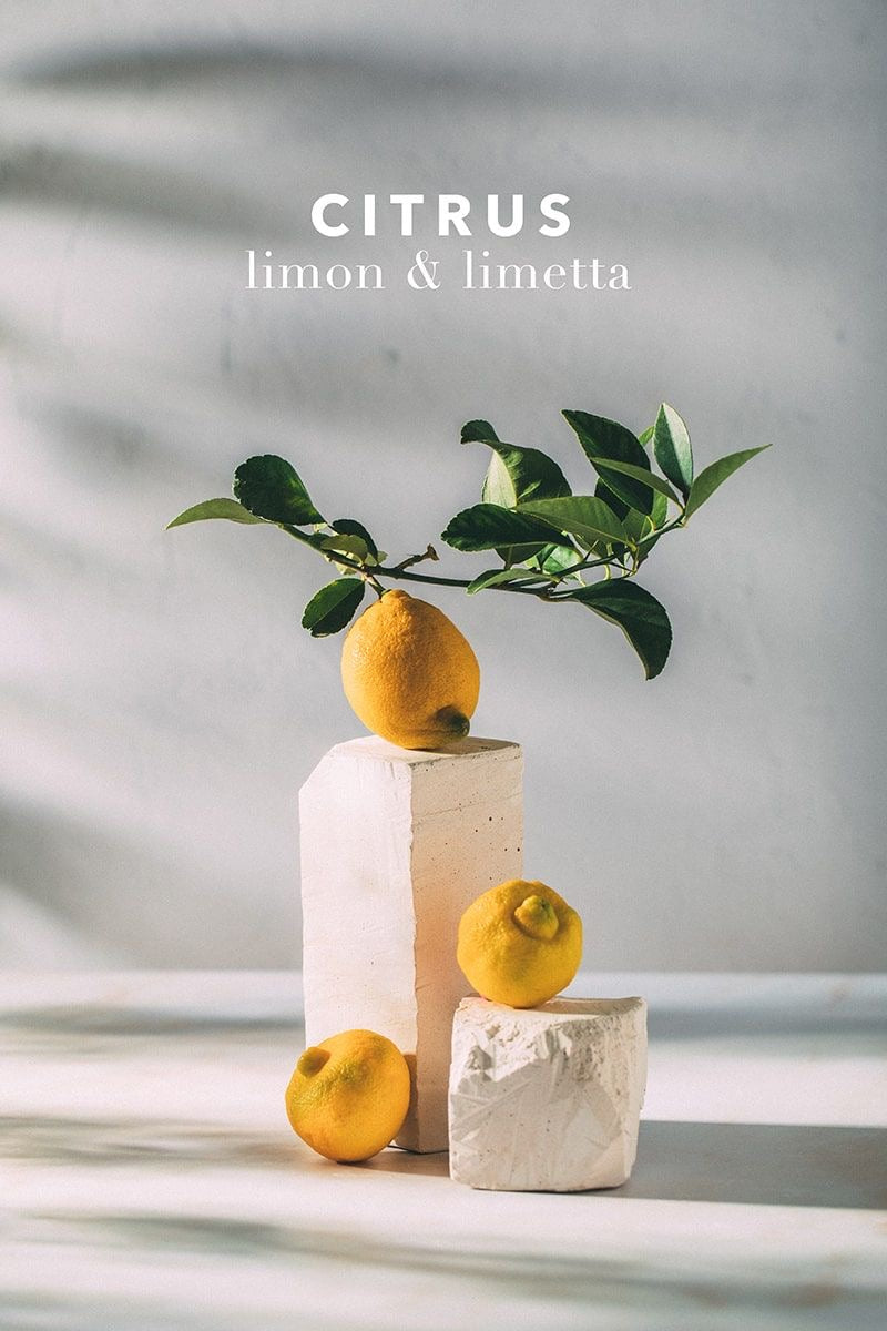 YUZU CANDLE SET OF 3