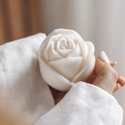 Rose Bloom