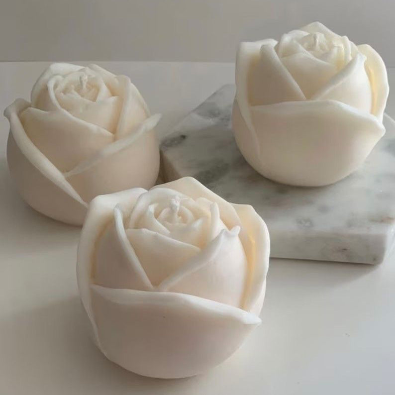 Rose Bloom