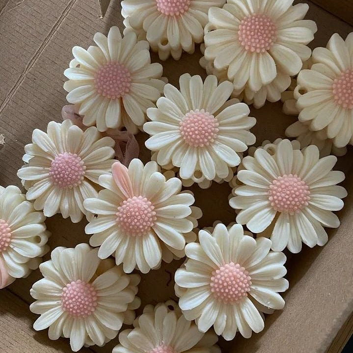Daisy