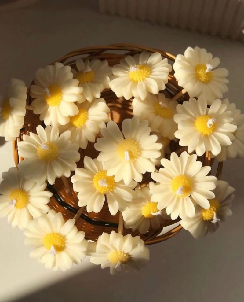 Daisy