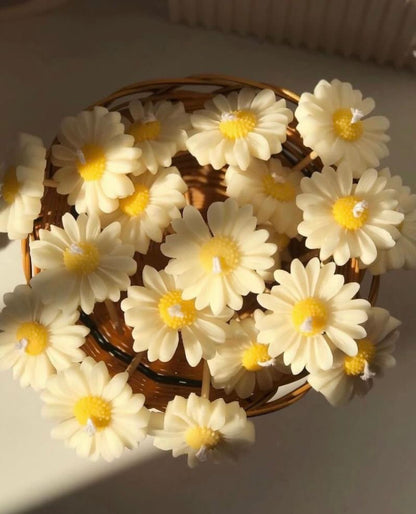Daisy