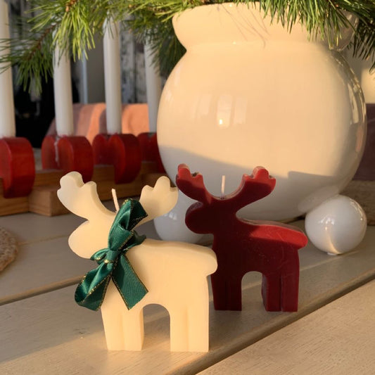 Reindeer