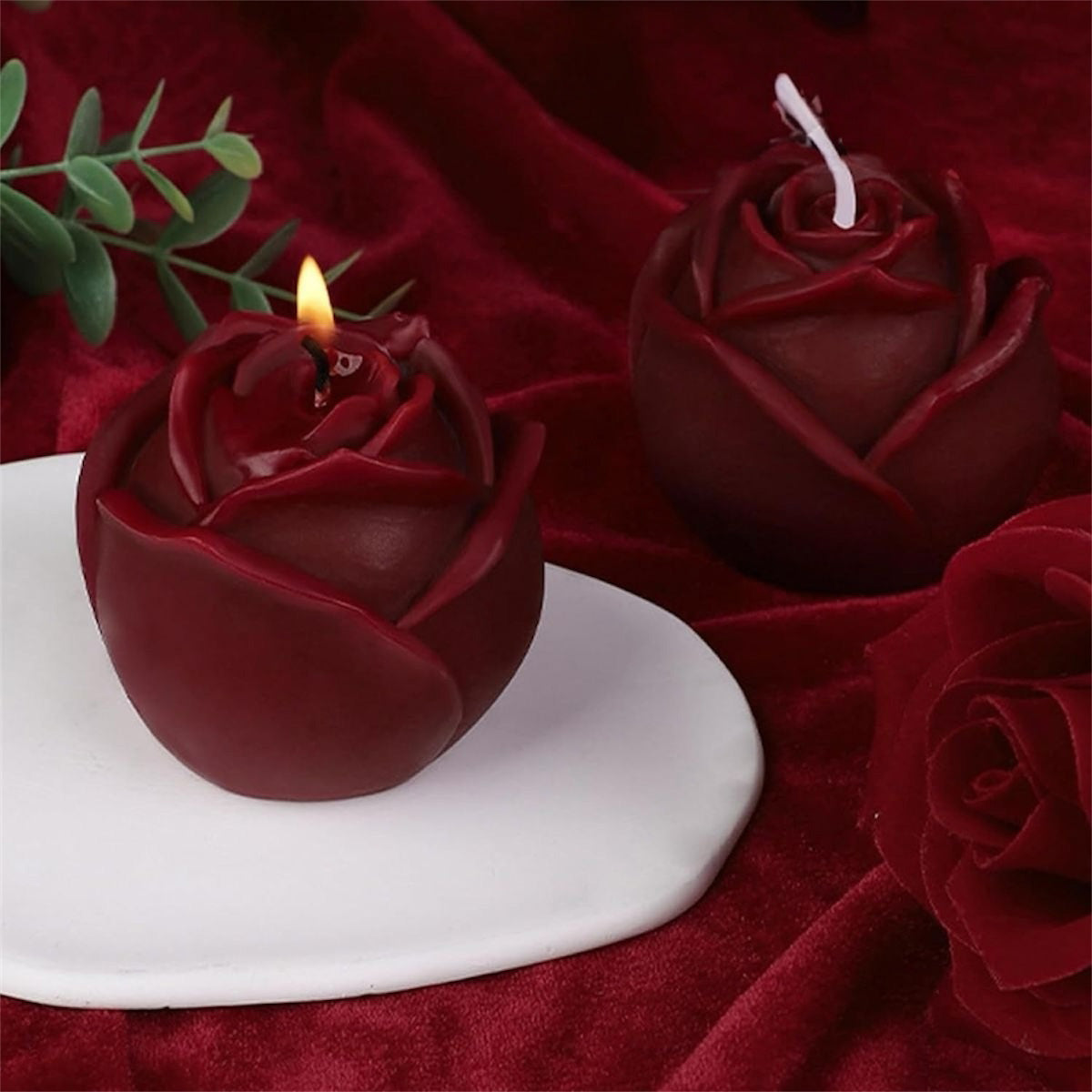 Rose Bloom