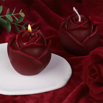Rose Bloom