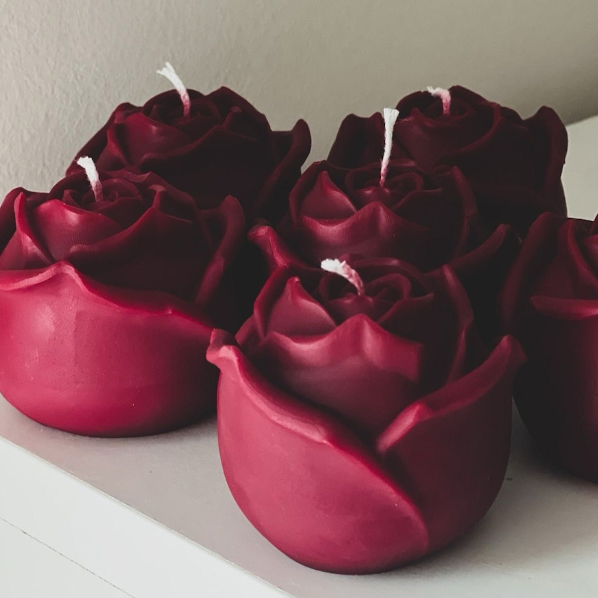 Rose Bloom