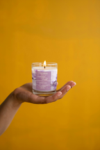 Moonlight Frost- A french Vanilla Scented Candle